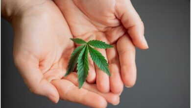 New Tech Providing a Better Cannabis User Experience